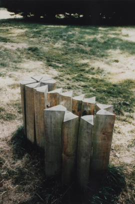 Photograph of "Sliced Log S" by Andrew Darke