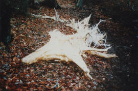 Photograph of section of "Winter", part of sculpture The Four Seasons