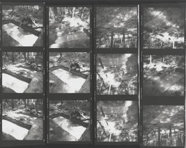 Contact sheet with photographs of Dead Wood/ Bois Mort and Carole Drake