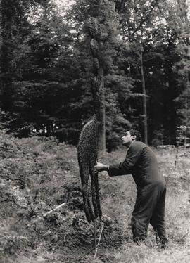 Photograph of Zadok Ben David installing As There Is No Hunting Tomorrow