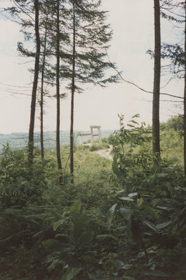 Photograph of Place/ Giant's Chair from a distance and through trees