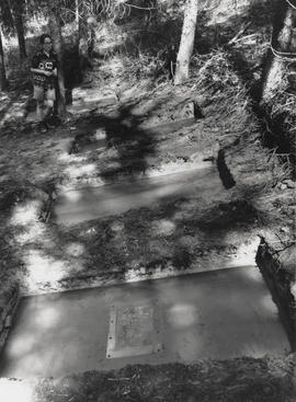 Photograph of Carole Drake standing beside Dead Wood/ Bois Mort